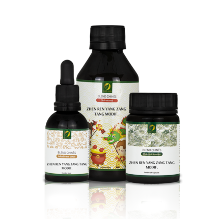 249 - ZHEN REN YANG ZANG TANG MODIF